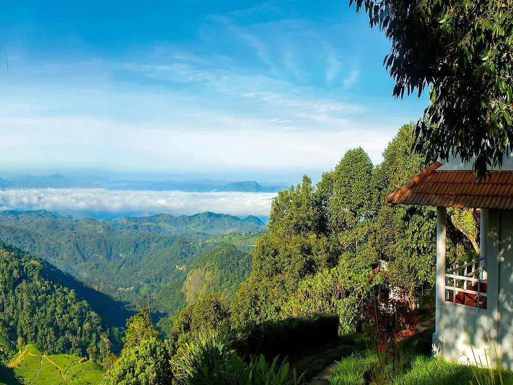 Blackberry Hills Munnar Nature Resort & Spa